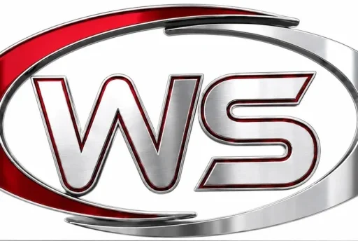 WS Serviços